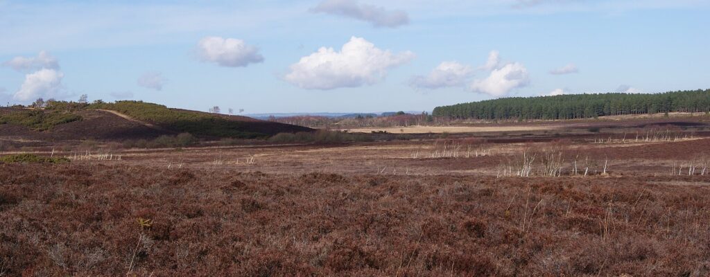 Water softener services in Ferndown - Ferndown town centre